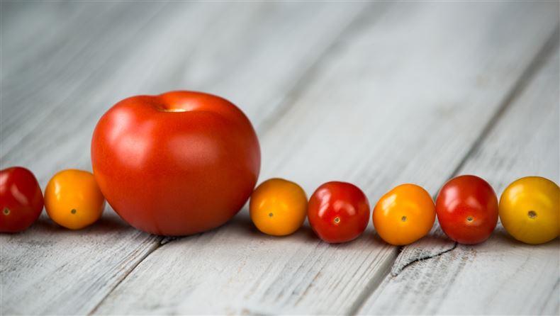 What If I M Overqualified For My Dream Job