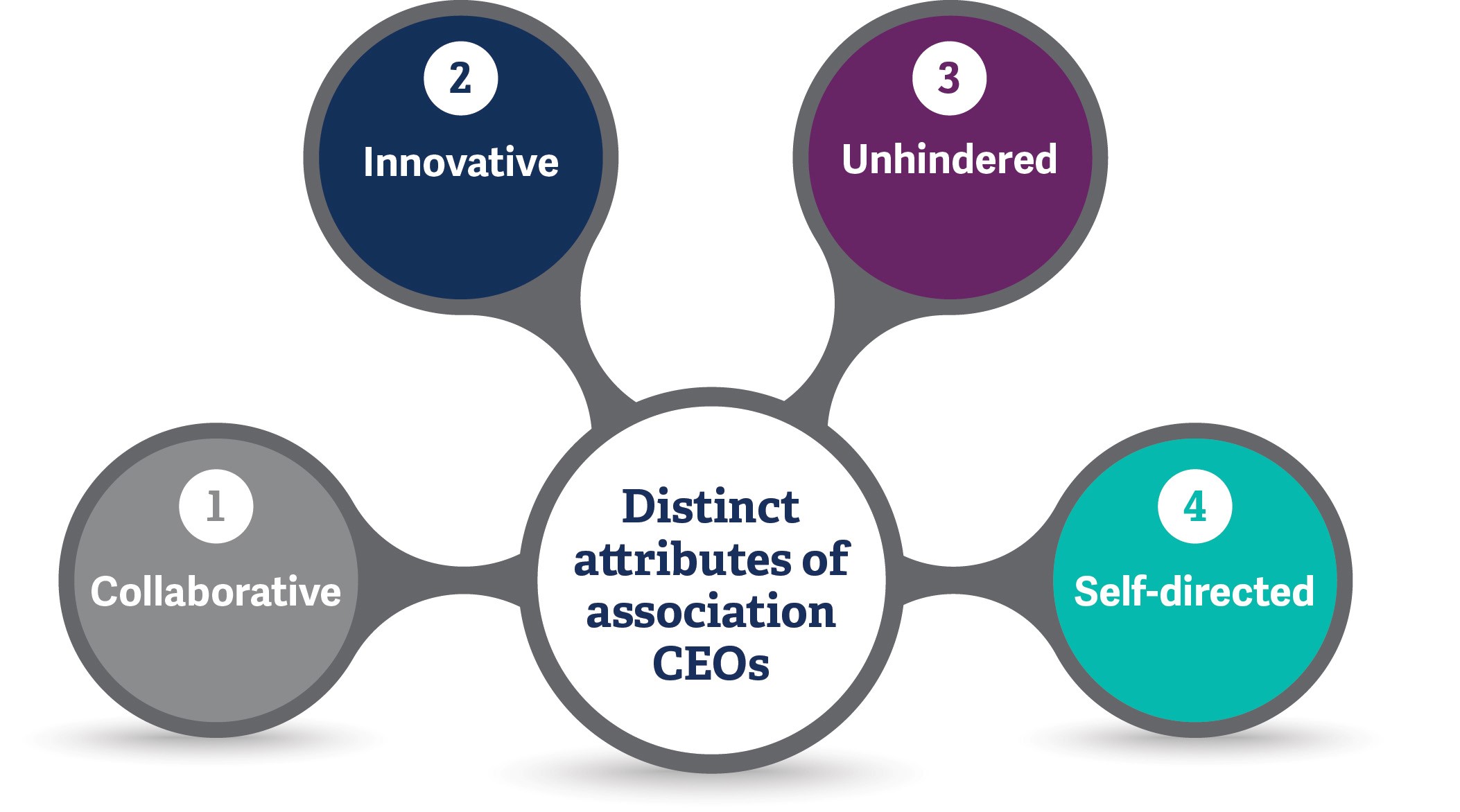 distinct leadership attributes of association CEOs
