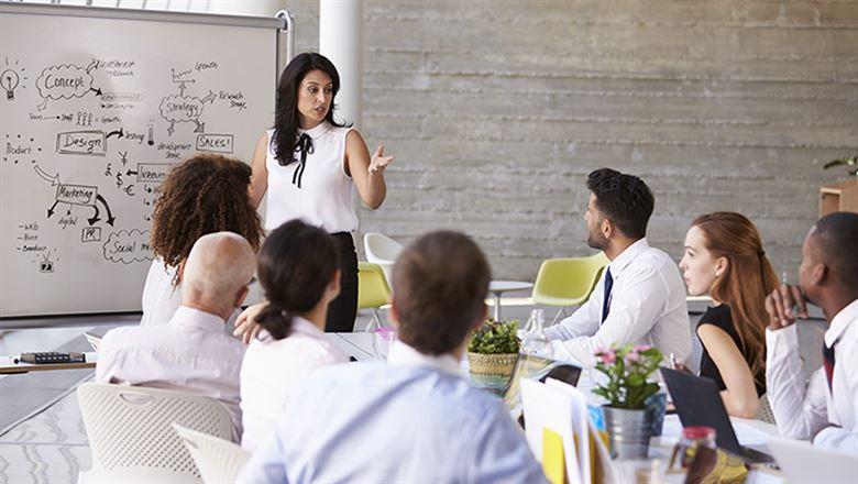 a businesswoman leading a workshop