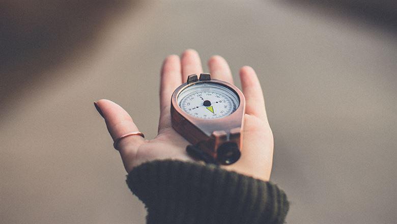 grow and evolve strategic plan