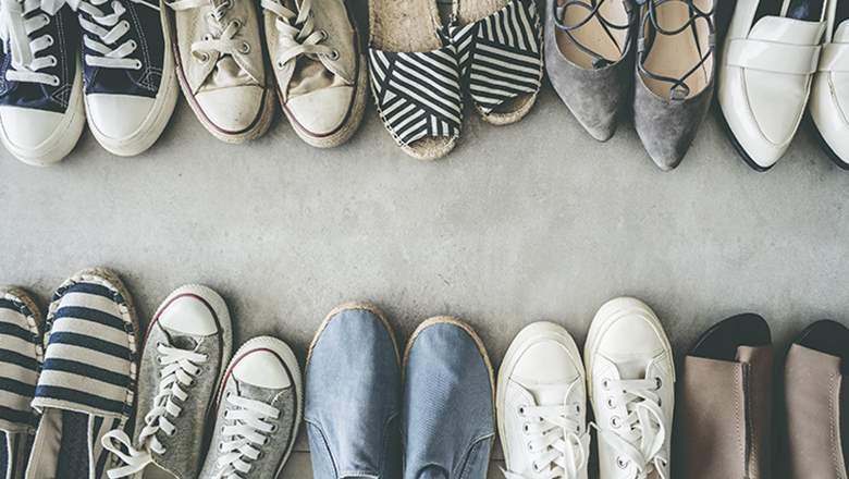 Segarra image 12.16.29