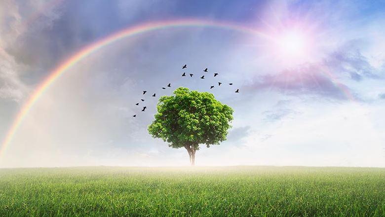 McCormack_positive ethic of hope for associations