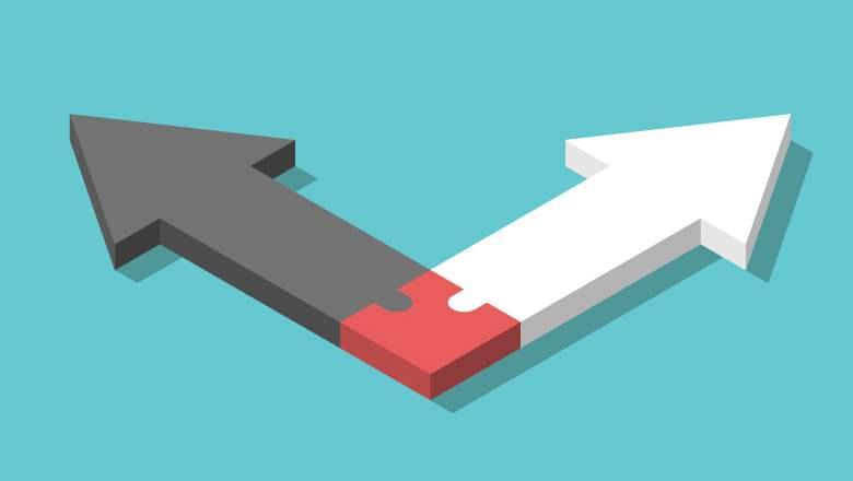 Kimbis_board conflict of interest