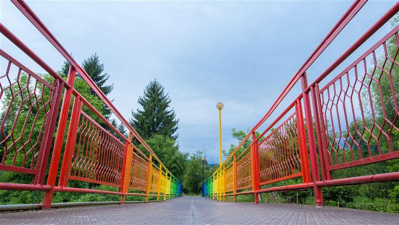 SteinbergDunn_antitrust guardrails for DEI initiatives