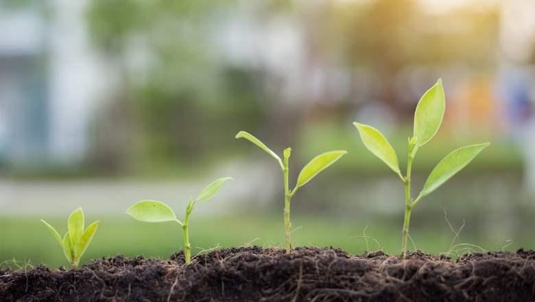 shukla-reversed stagnant growth