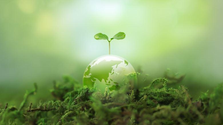 waterston_pittman_SDGs