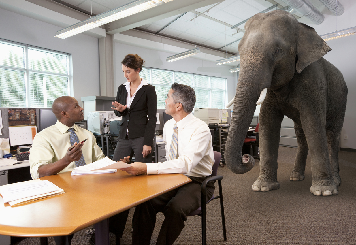 Protect the Newcomers: What Elephants Can Teach Us About Leadership in ...