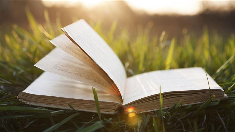 open book lying in grass