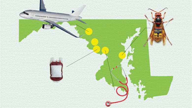 state map of maryland