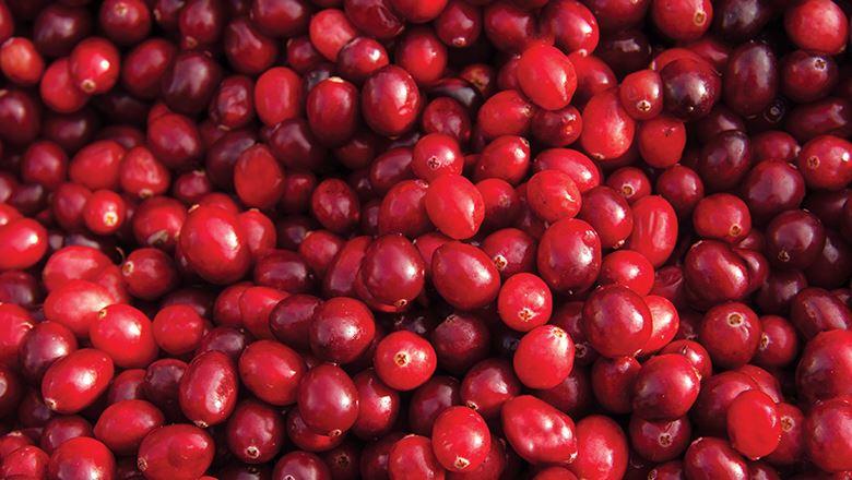 new_money_cranberries