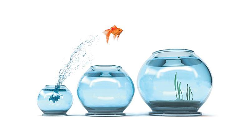 What to Say About Salary