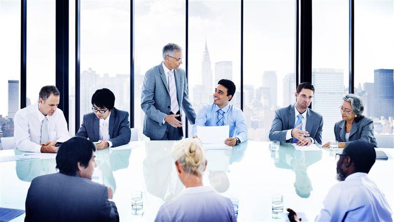 diverse group of professionals in a meeting