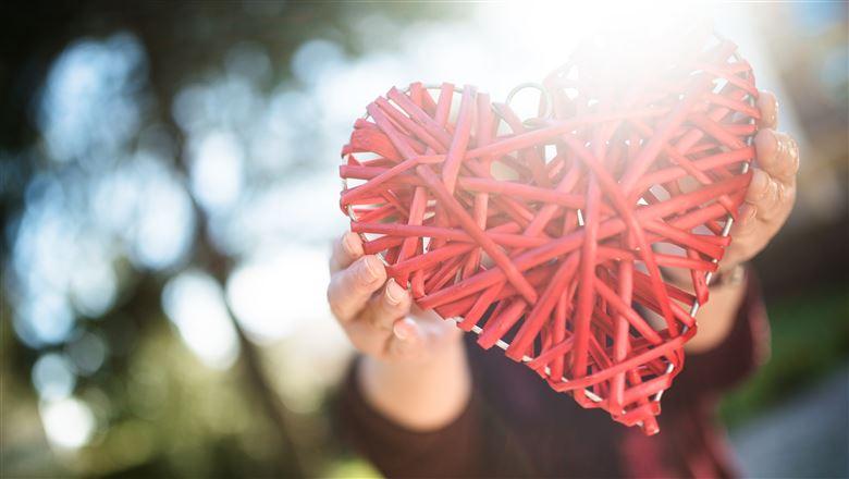 person holding a heart shape