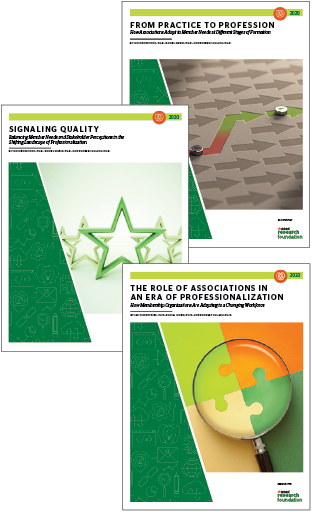 From Practice to Profession  (3 PDF Reports)