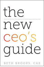 The New CEO's Guide (digital book)